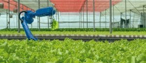 iot smart industry robot 4.0 agriculture concept,industrial agronomist,farmer using software Artificial intelligence technology in tablet to monitoring condition and control automatic robotics in farm